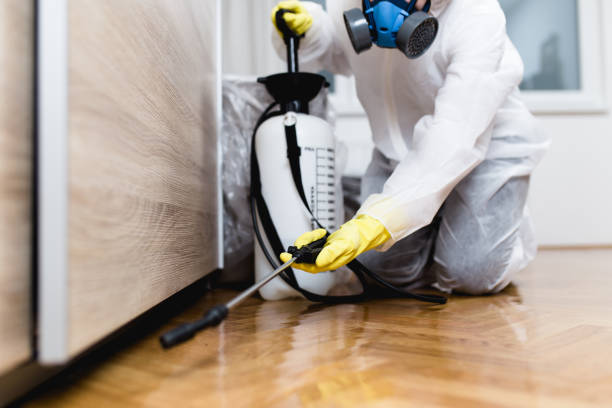 Best Emergency Pest Control  in Three Forks, MT