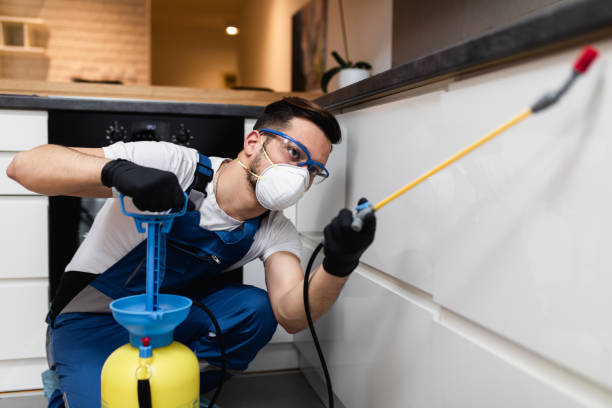 Flea Control Services in Three Forks, MT