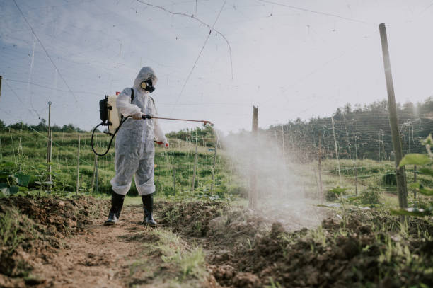 Best Affordable Pest Control Services  in Three Forks, MT