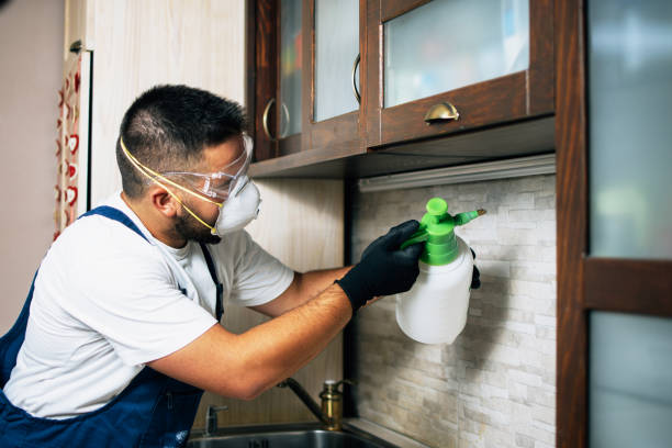 Best Commercial Pest Control Services  in Three Forks, MT