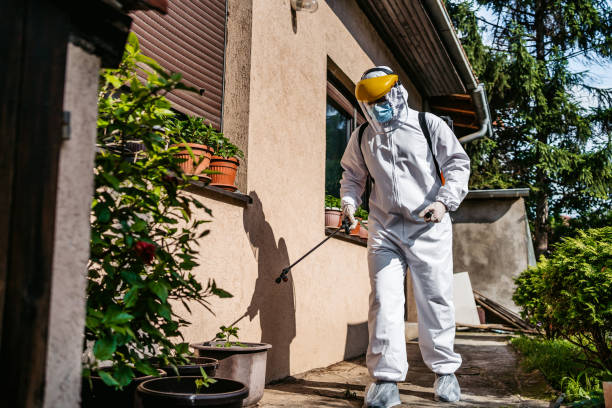 Best Insect Control  in Three Forks, MT
