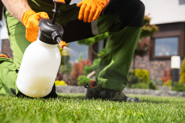Best Commercial Pest Control Services  in Three Forks, MT