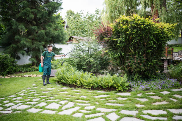 Best Residential Pest Control  in Three Forks, MT