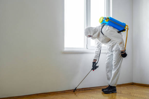 Best Pest Control Cost  in Three Forks, MT