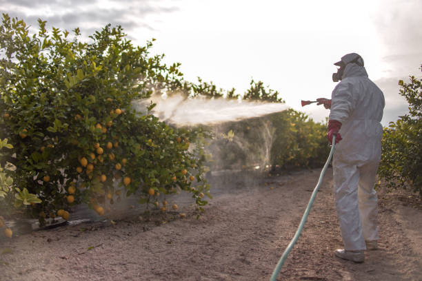 Best Residential Pest Control  in Three Forks, MT