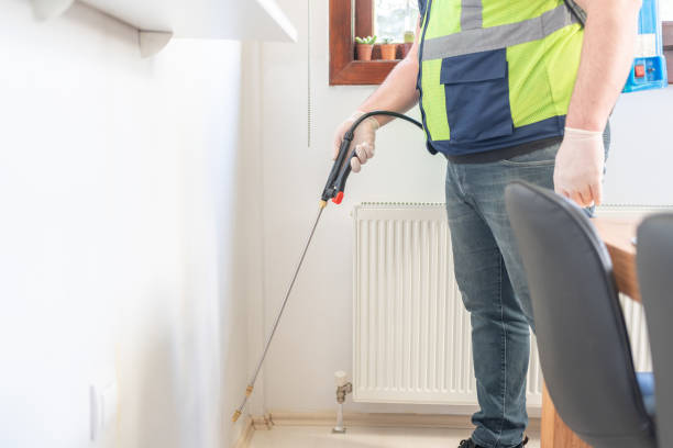 Wasp Removal Services in Three Forks, MT