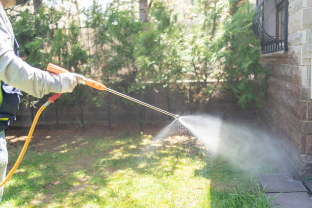 Best Mosquito Control Services  in Three Forks, MT
