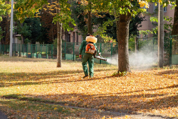 Best Pest Removal Services  in Three Forks, MT
