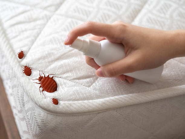 Best Commercial Pest Control Services  in Three Forks, MT
