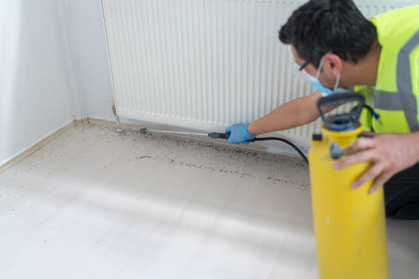 Best Pest Control Near Me  in Three Forks, MT